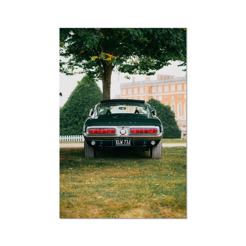 Poster 019 - Ford Mustang Shelby GT500