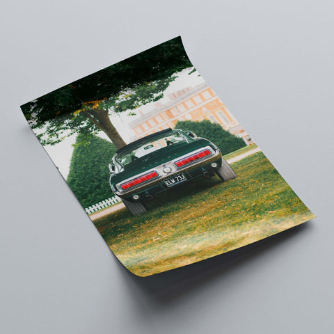 Poster 019 - Ford Mustang Shelby GT500