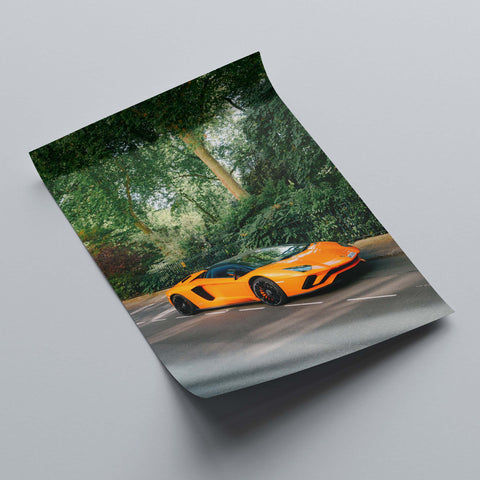 Poster 156 - Lamborghini Aventador S LP740-4 Roadster